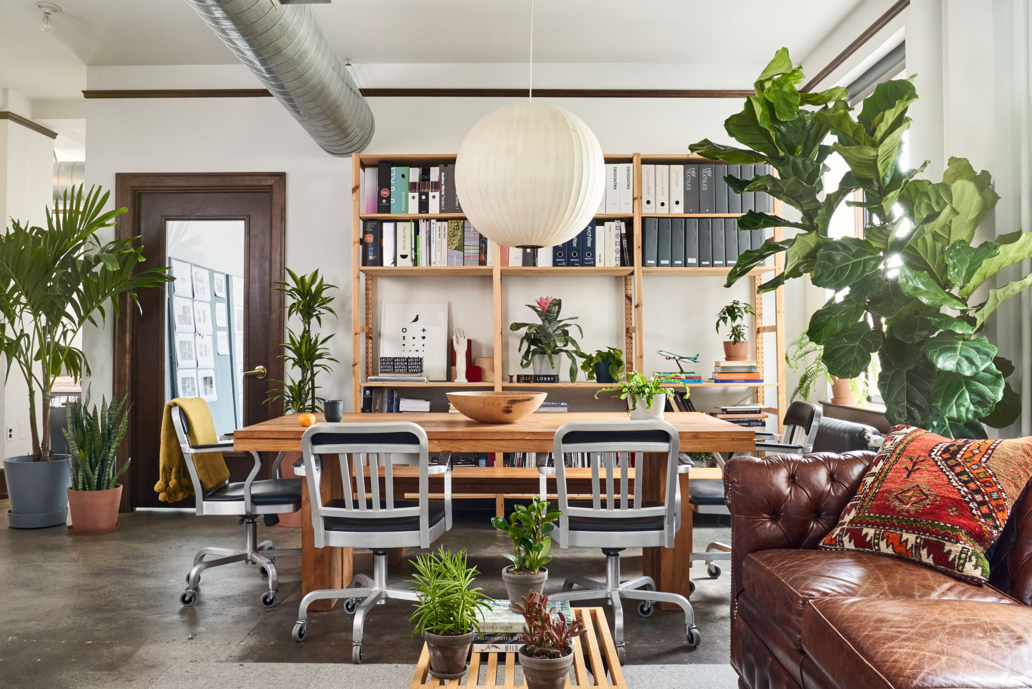 Beautiful room filled with indoor plants on wooden shelves